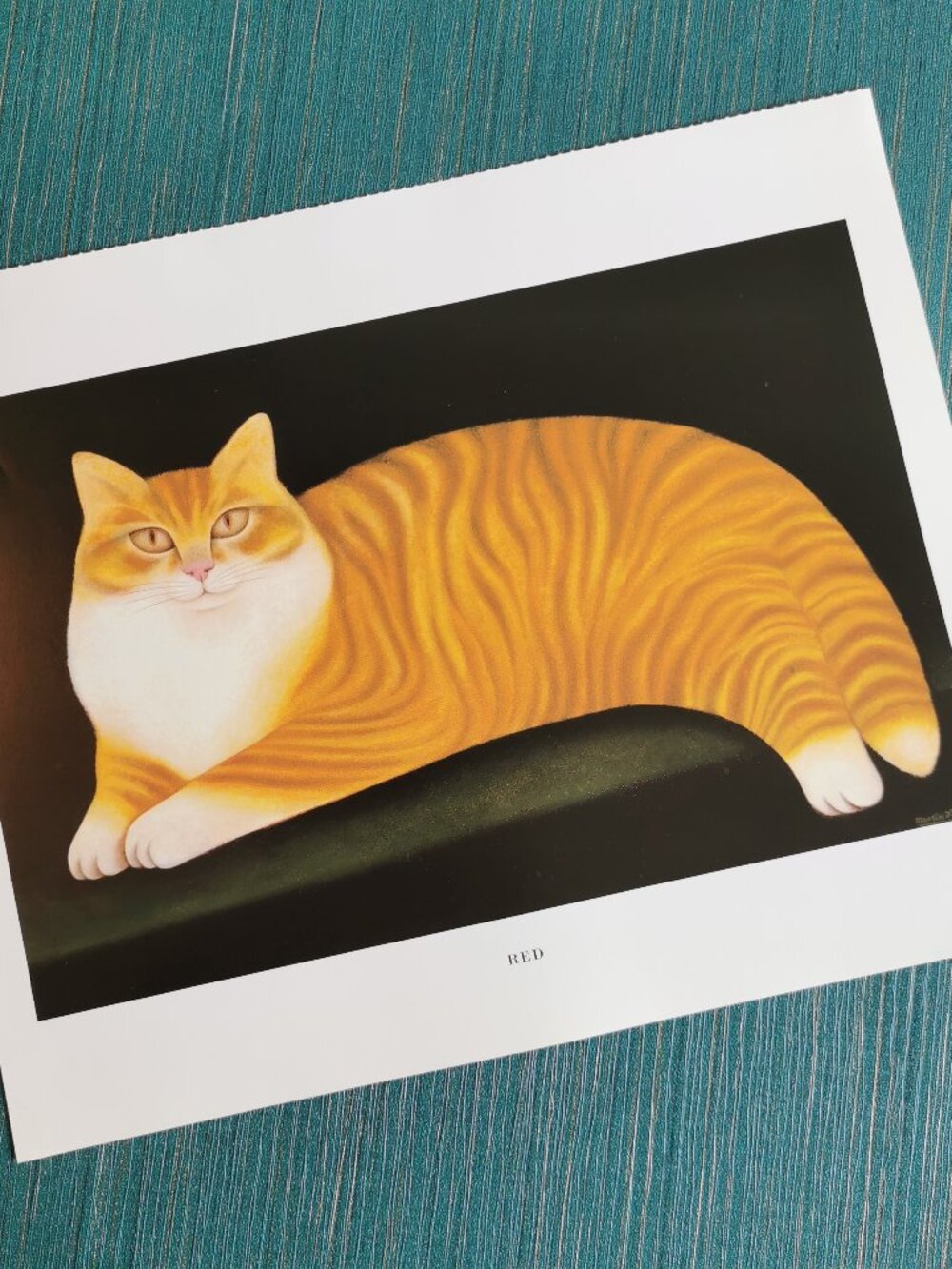 Red by Martin Leman Beautiful Cat Art Print Orange Long-Haired Kitty Cattitude